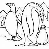 Coloring Penguin Pages Arctic Animals Kids Penguins Sheets Animal Printable Emperor Polar Baby Color Family Cute Colouring Their Snowshoe Parent sketch template