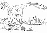 Jurassic Park Dilophosaurus Pages Coloring Spinosaurus Coloringpagesonly sketch template