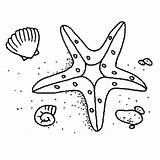 Starfish Coloring Line Drawing Shell Fish Star Two Getdrawings sketch template
