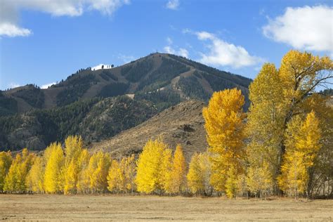 idaho  places   fall foliage popsugar smart living photo