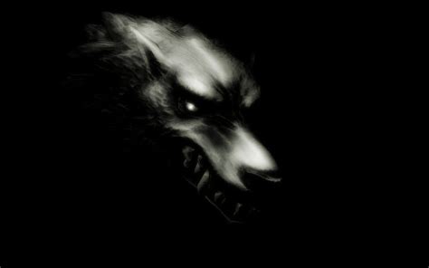 dark werewolf hd wallpaper
