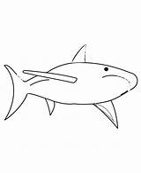 Sharks Kolorowanki Rekin Rekiny Sharknado Bestcoloringpagesforkids Hibiscus Dla Druku Pobrania sketch template