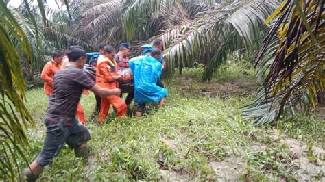 terseret banjir kakek  aceh tamiang ditemukan tewas  kebun sawit