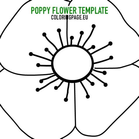 poppy flower template printable coloring page