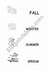 Seasons Year Worksheet Preview sketch template