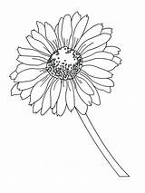Daisy Printable Daisies Kids Bestcoloringpagesforkids Stars Easy Drawing Mycoloring sketch template