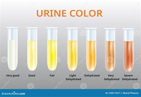 urine color chart urine  test tubes medical vector image  reasons