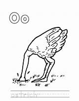 Ostrich Coloring Oboe Pages Worksheet Letter Printable Getdrawings Spirituality Alphabet Getcolorings Popular Worksheeto sketch template