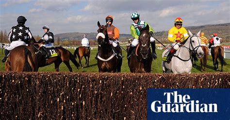 the 2011 cheltenham gold cup in pictures sport the