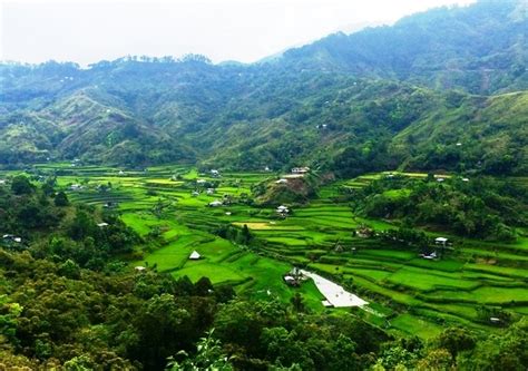 Customize Trip To The Banaue Rice Terraces And Beyond