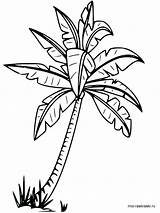 Palm Tree Coloring Pages Getcolorings Drawing sketch template