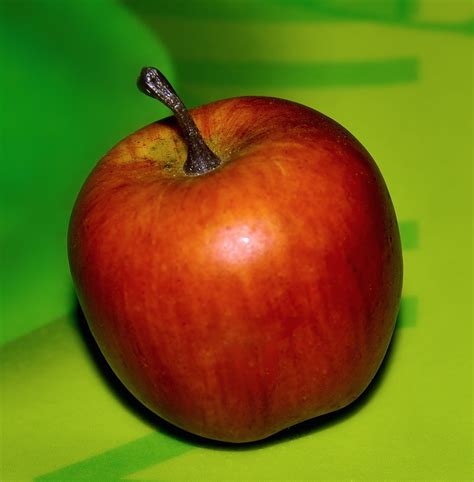 apple  photo  freeimages