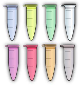rmix eppendorf tube closed clipart iclipart royalty  public domain clipart