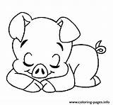 Pig Cute Coloring Pages Para Dibujos Colorear Animal Colouring Printable Easy Print Cliparts Piglet Sketch Drawings Clipart Pintar Pigs Cerdito sketch template