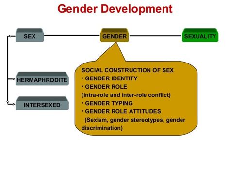 Psychology Of Gender