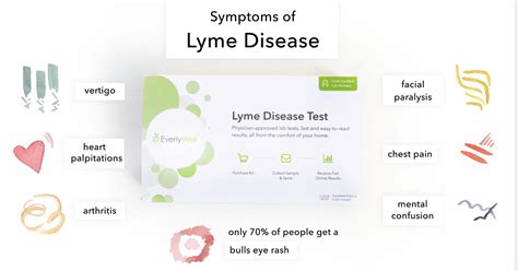 Lyme Disease Symptoms – What Are The Signs Of Lyme Disease Blog