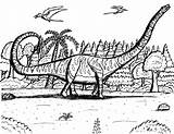 Sauropod Barosaurus Diplodocid Diplodocus Utah Sauropods sketch template