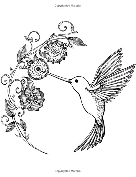 hummingbirds  flower coloring pages sketch coloring page