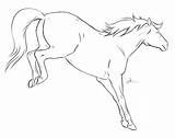 Horse Bucking Drawing Drawings Draw Sketch Line Getdrawings Choose Board January sketch template