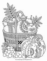 Coloring Sheets Choose Board Fall sketch template