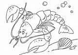 Aragosta Stampare Lobster sketch template