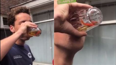 studenten atten biertje met levende goudvis smakeloze studentengrap rtl nieuws
