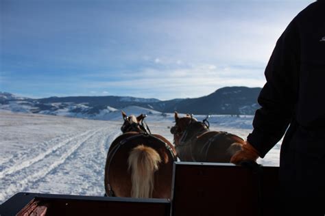 Frequently Asked Questions National Elk Refuge Sleigh Rides