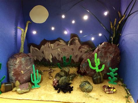 desert biome diorama science project science projects  kids