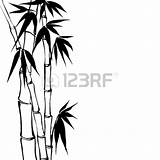 Bamboo Drawing Vector Sugarcane Illustration Line Stock Illustrations Garden Isolated Over Centre Quality High Drawings Colourbox Bord Kiezen Clipartmag Getdrawings sketch template
