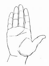 Drawing Hand Palm Basics sketch template