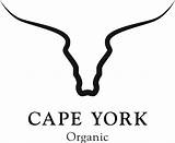 Cape Coloring York Designlooter 1kb 1000 sketch template