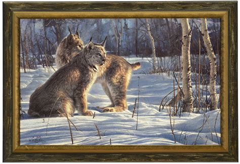 lynx light  nancy glazier signed numbered limited edition canvas