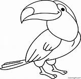 Toucan Format Coloringall sketch template