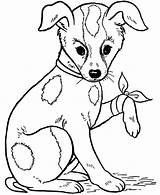 Lastimado Perrito Chien Injured Dibujosonline Categorias 1001 Pet Ingrahamrobotics sketch template