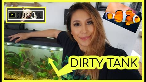 easiest   clean  fish tank monthly  removing fish youtube