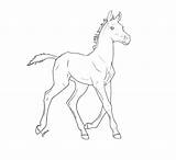 Foal Horse Drawing Deviantart Lineart Coloring Pages Drawings Line Horses Easy Simple Vii Chronically Pt Running Ponies Comic Animal Animals sketch template