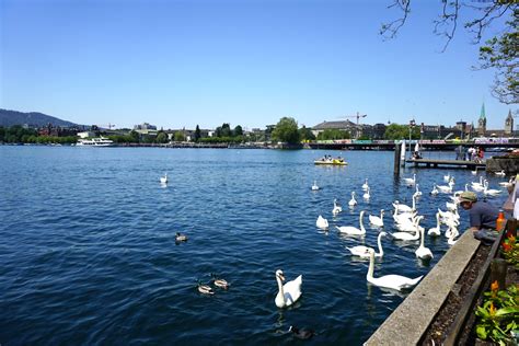 lake zurich  neighbouring griefensee  project lifestyle