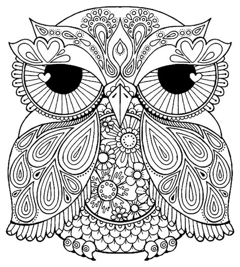 adult coloring pages birds  getdrawings