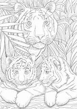 Coloring Adult Printable Pages Tigers Kids Sheets Adults Favoreads Book Etsy Designs Color Mandala Animal Colorier Coloriage Print Numbers Colouring sketch template