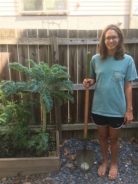 first time starting kale from seed wife for scale gardening