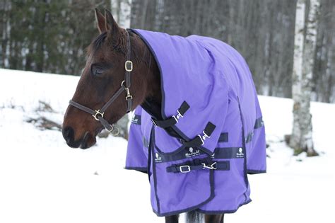 affects  horses winter coat growth