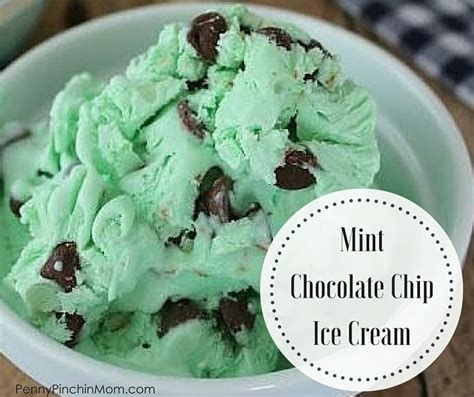 homemade mint chocolate chip ice cream
