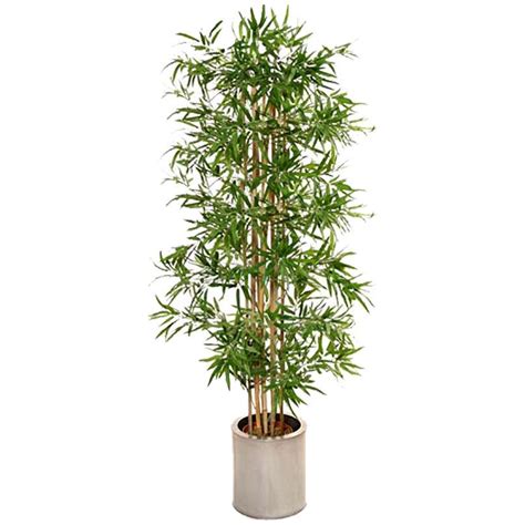 6ft japanese bamboo with natural stems artificial plants