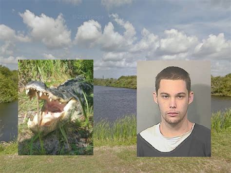 florida man eaten by 11 foot alligator after jumping in pond to hide