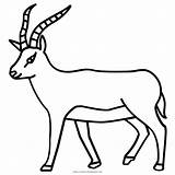 Antilope Antelope Ausmalbilder Gazelle Kart Stampare Ultracoloringpages Pngkey sketch template