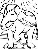 Circus Coloring Elephant Animal Animals Pages Coloringbay sketch template