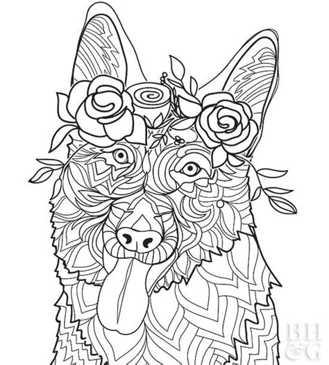 pet coloring page  homes gardens coloring home