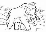 Coloring Mammoth Wolly Woolly Pages Wooly Drawing Un Getcolorings Proyecto La Getdrawings Large sketch template