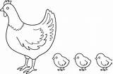 Poule Dessin Hen Coloriages Poulet Chicks Coloriage Chick Poussin Colorier Webstockreview Chickens Hens Visiter Poulets Pngwing sketch template