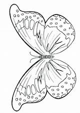 Coloring Butterfly Pages Colouring Wings Printable Kids Butterflies Outline Template Unique Online Clipart Drawing Color Morpho Blue Parents Young Print sketch template